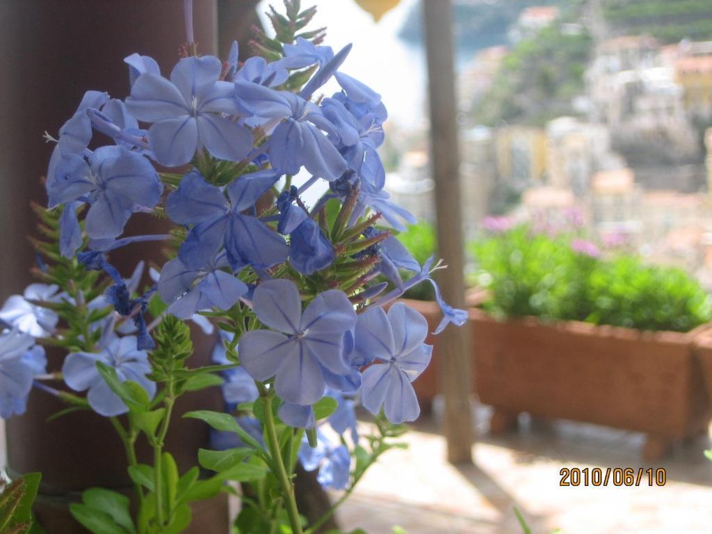 Villa Marietta Minori Exterior foto